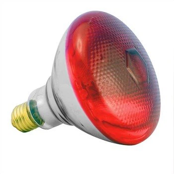 Kylling Brooder Varmelampe